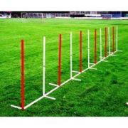 Agility